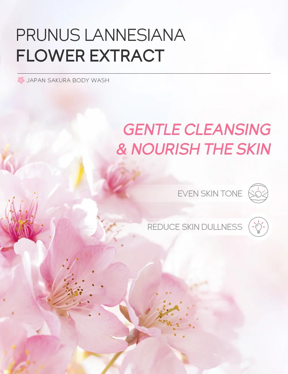 LAIKOU Sakura Shower Gel Long Moisturizing Smooth Long Lasting Fragrance Gentle Foam Body Cleansing Bath Product 200ml - Shemen Beauty