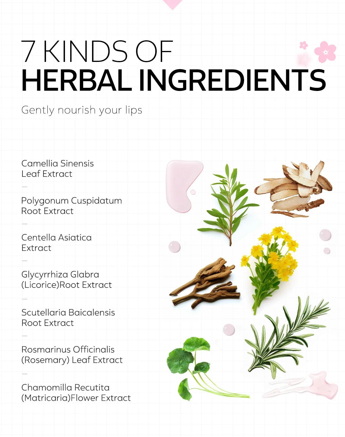 Lasting Lip Plumping Oil Instant Plumping Essential Oil Increase Lip Elasticity Lighten Lip Lines Repair Lip Lines Sexy Lips - Shemen Beauty