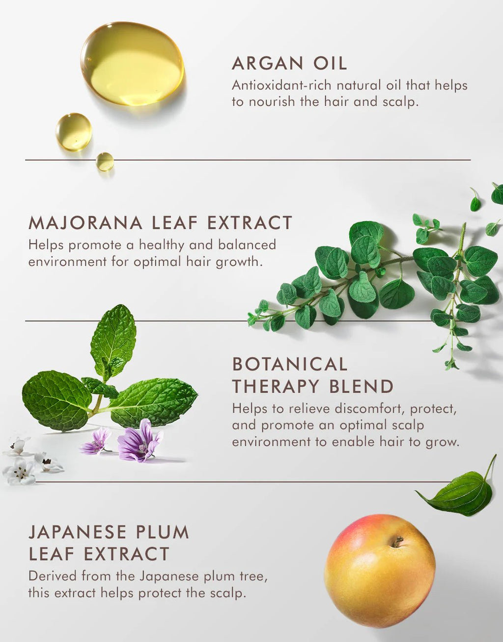 Moroccanoil Revitalizing Scalp Tonic - Shemen Beauty